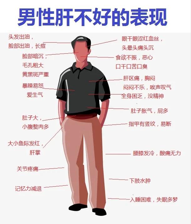 男性肝不好的表现,你中了几条?