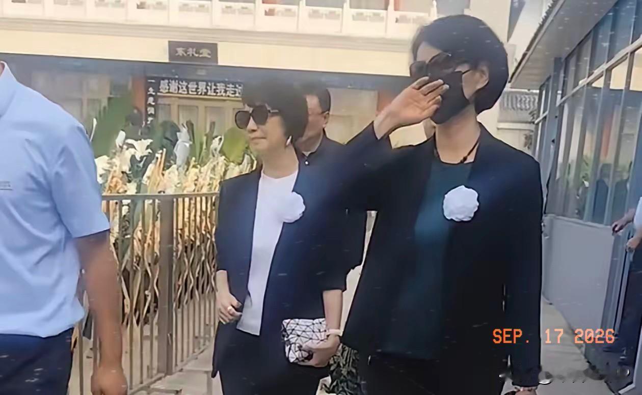 八宝山今天的告别厅，来了半个央视。李修平口罩压得很低，出来时手背蹭了下眼角。徐俐