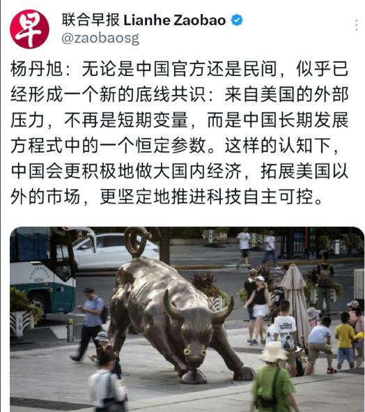 新加坡联合早报10月29日晚,发表杨丹旭的评论:“无论是中国官方还是民间,似乎已