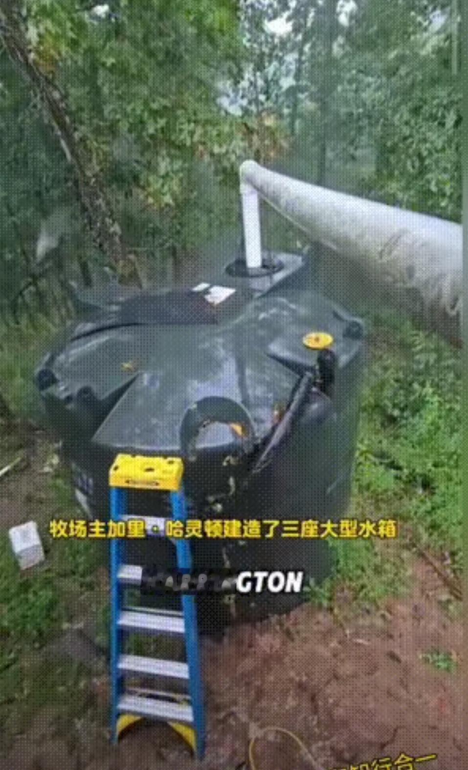 在美国接雨水是要坐牢的！看视频，美国人在自己的土地上收集一些雨水用来防火，喂