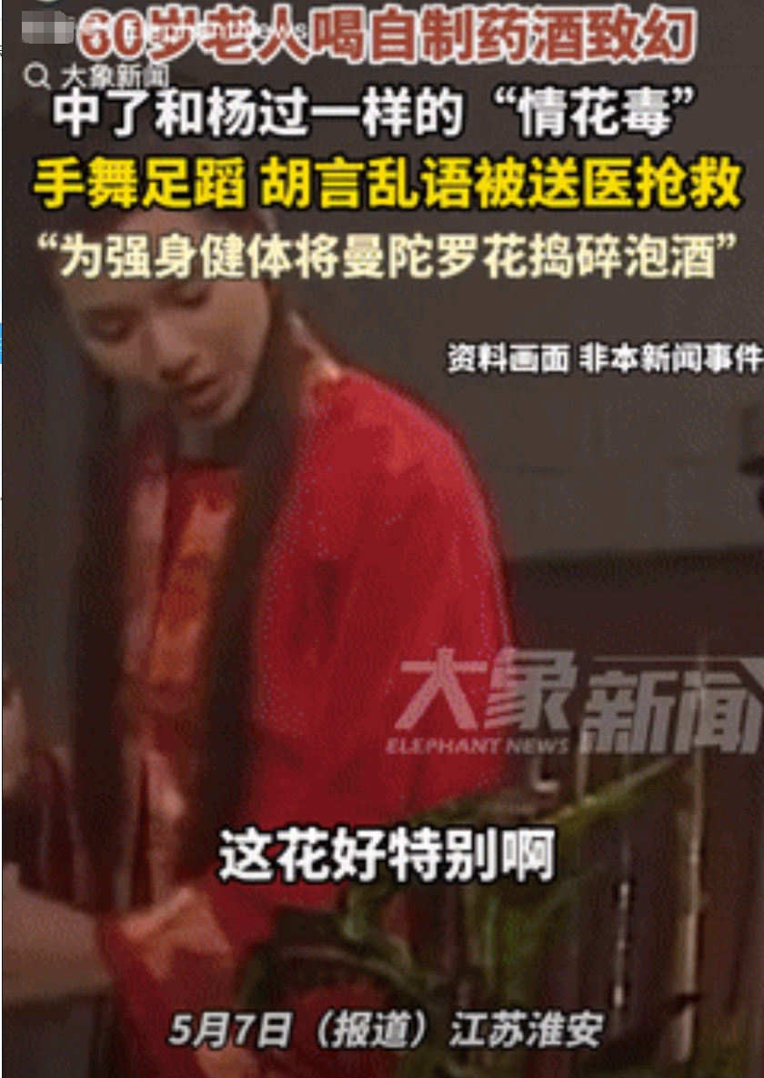 太无知了！江苏淮安，一老人为了能强身健体，便听信所谓的偏方，将曼陀罗花捣碎放到酒