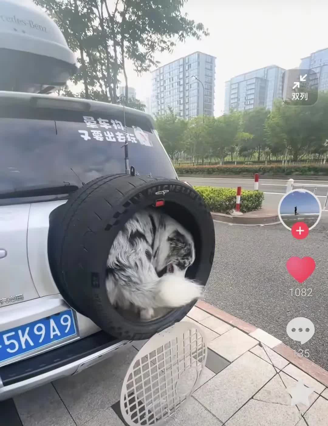 狗狗喜欢外出但是又晕车怎么办，你完全可以手搓一个外挂式狗笼子。让岳父在一个汽修店