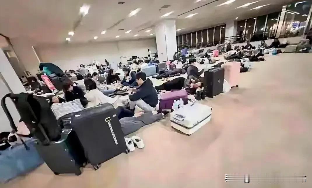 这些人真是自作孽不可活，最好别回来了！你不撮，就不会死！先把“巨婴”的遮羞布给扯