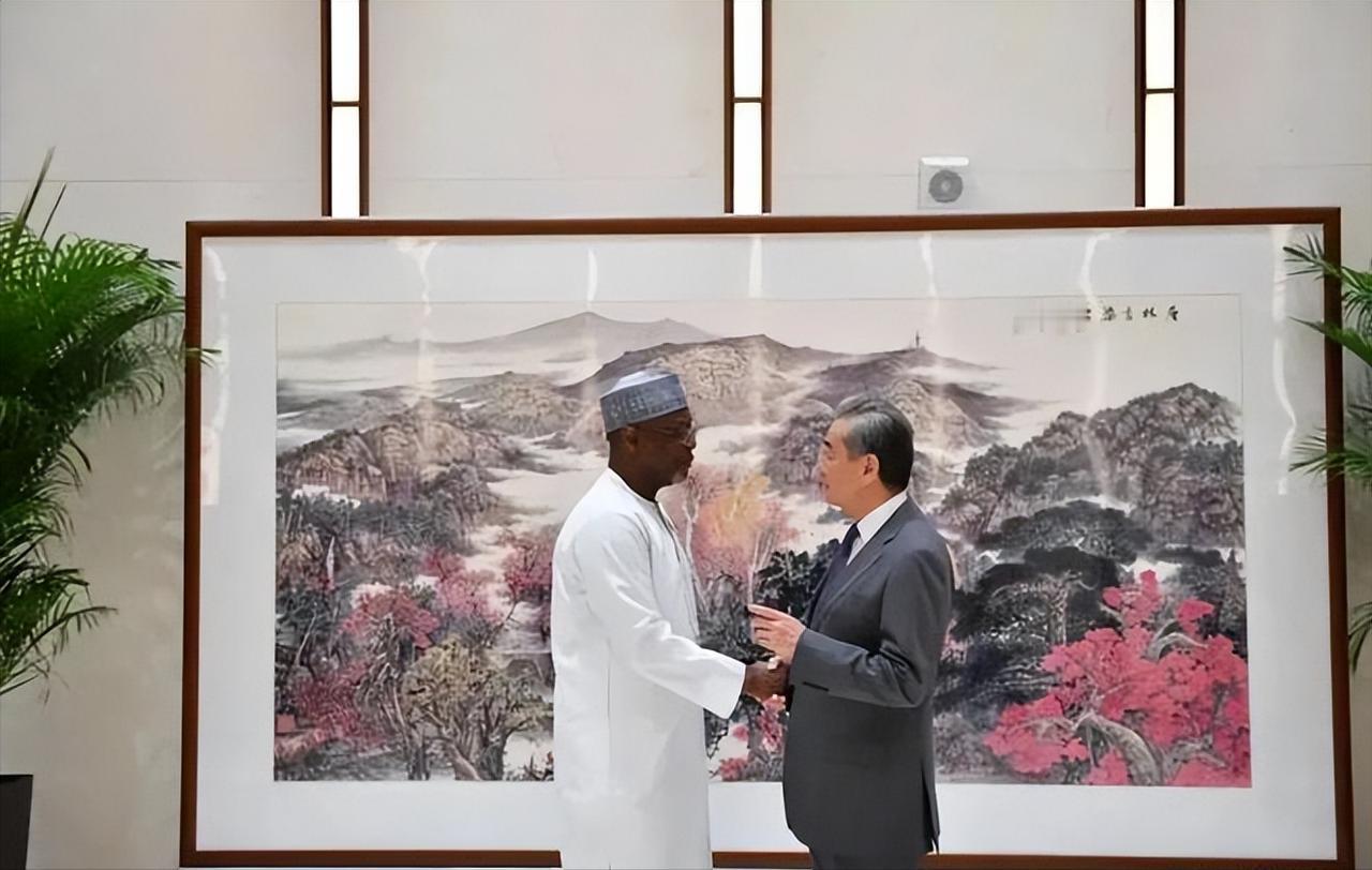前脚翻脸后脚巴结，尼日尔政府究竟想干什么？半个月前刚下令驱逐中国工人，现在尼日尔
