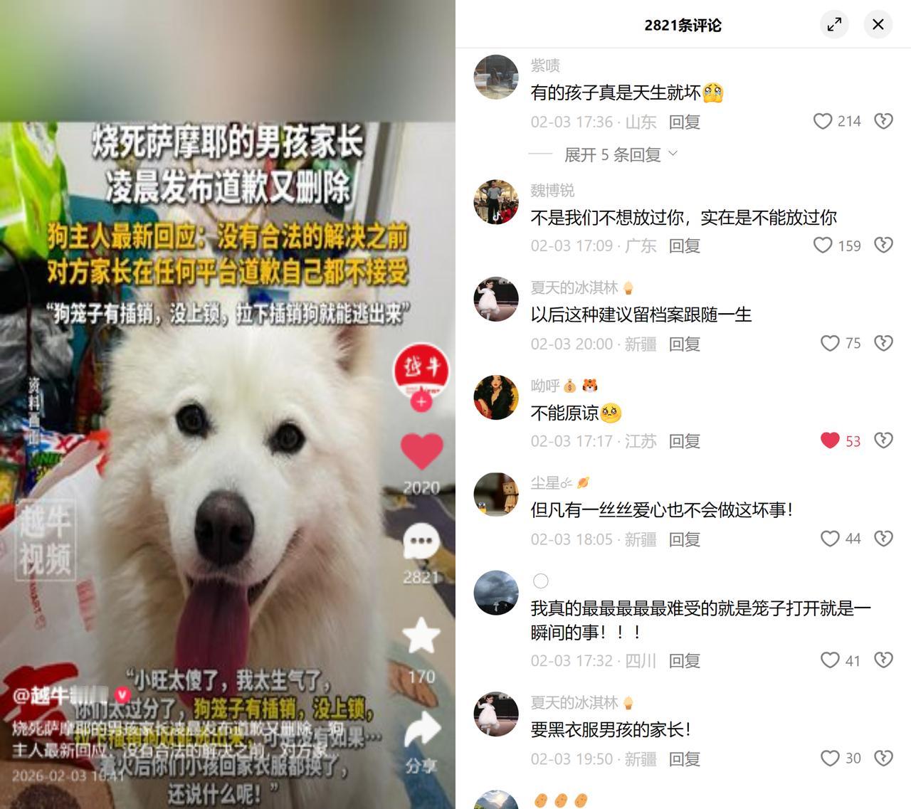 两男童用烟花烧死萨摩耶笼门没插销，往下一拉狗就能逃，可它还是被活活烧死了