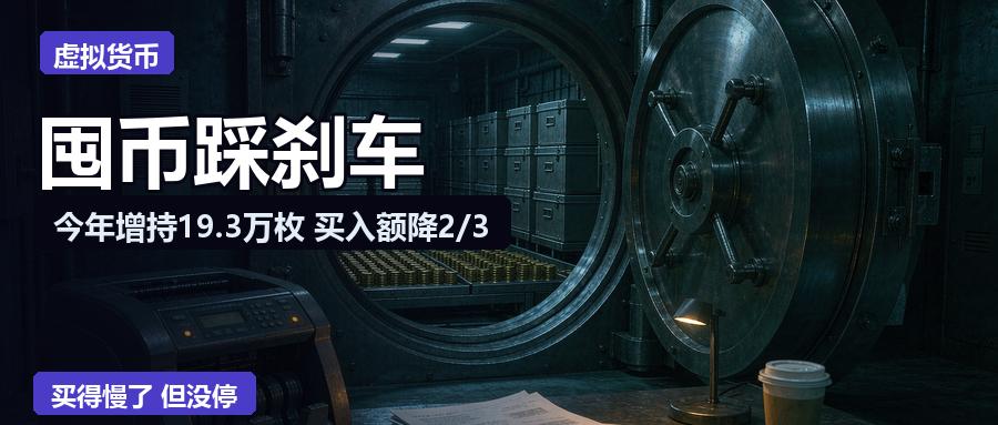 买币最凶的那批公司，今年还在买，但买法变了。River的一份报告给出了一组反