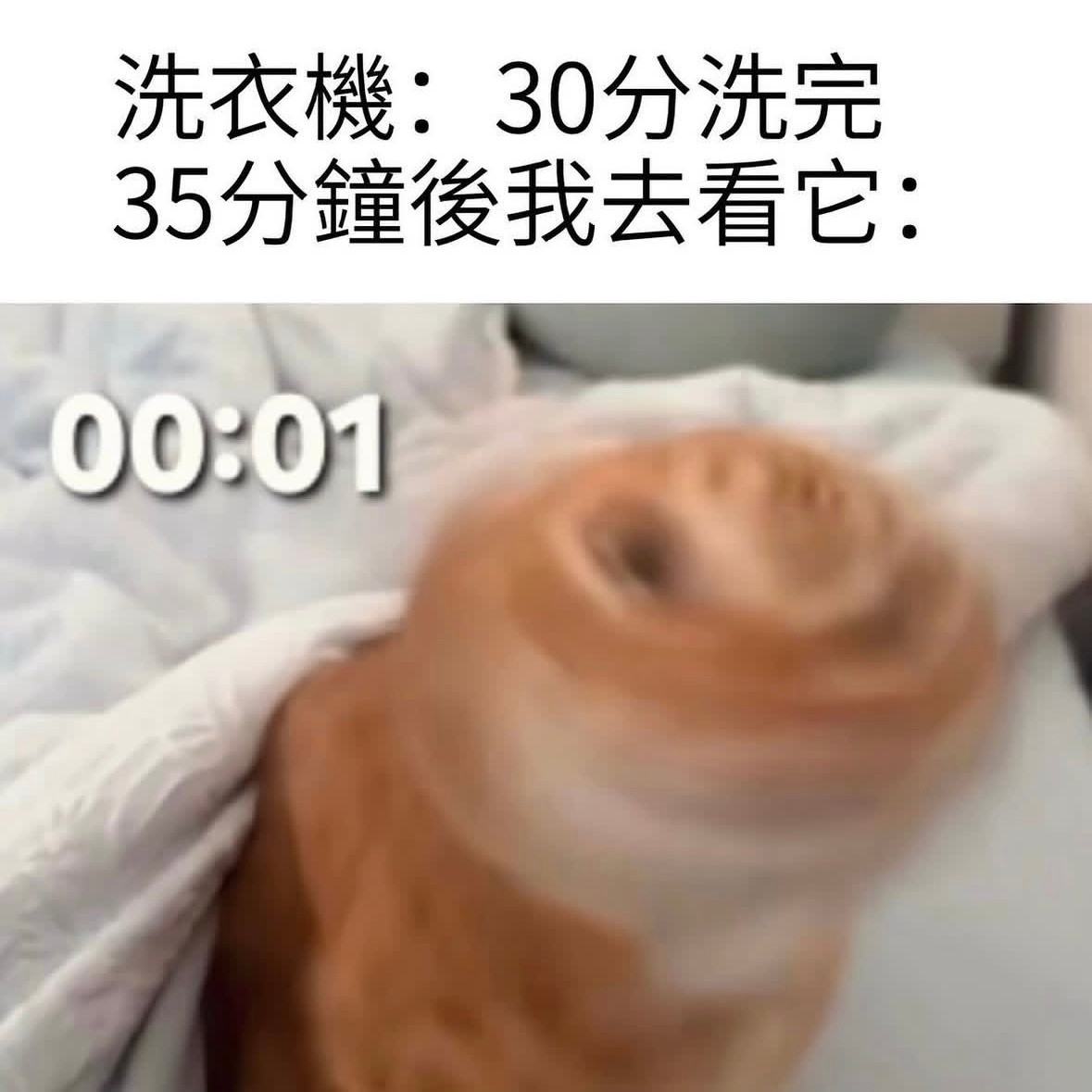 漫长的一秒钟memes