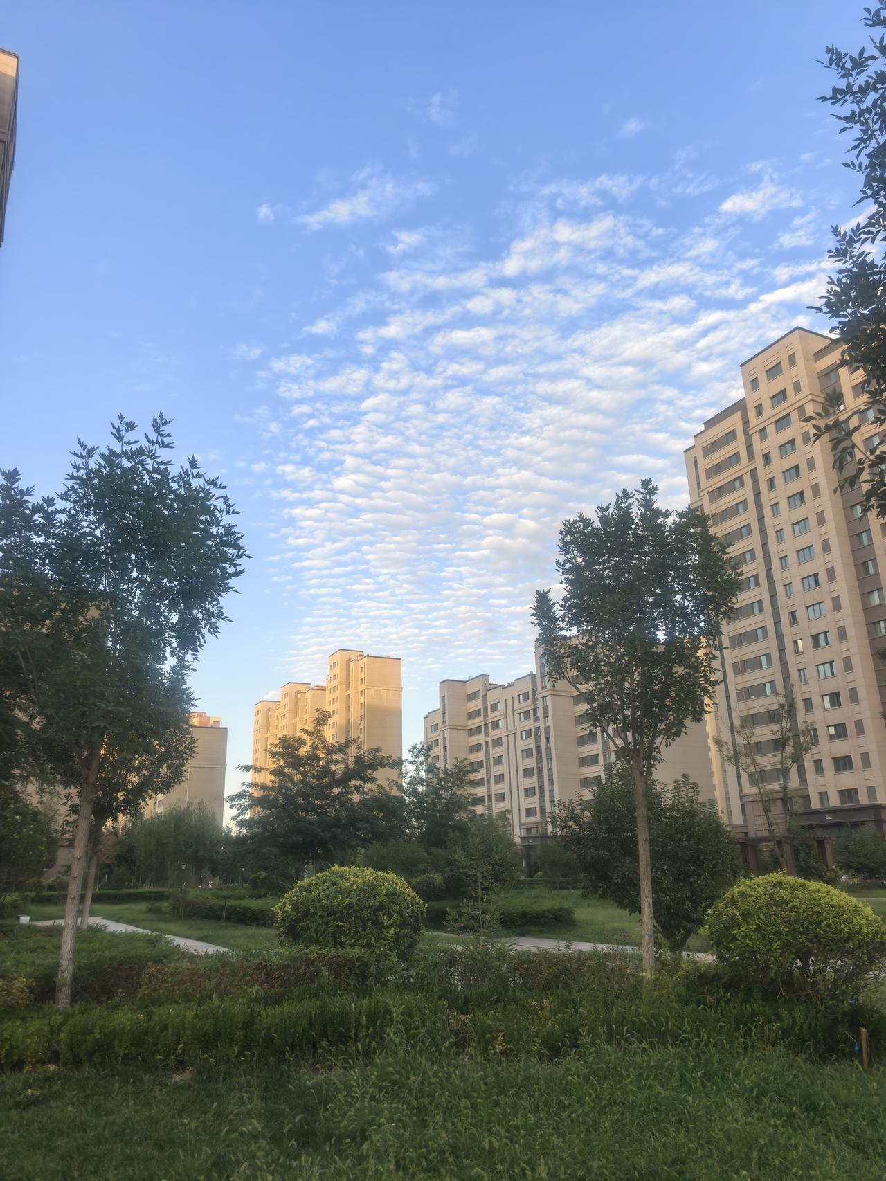 无烟医院有多难医院本应是最该远离烟草的地方，从政策层面，无烟医院早已成为硬