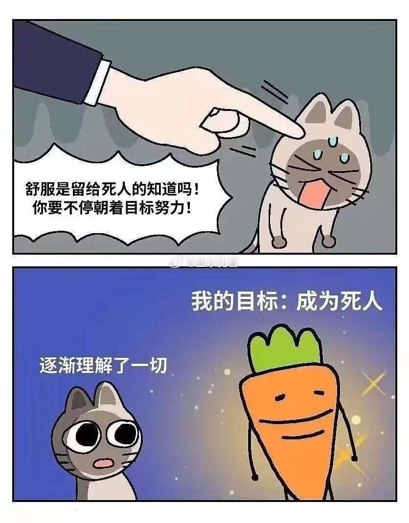 不明白为什么活人就不能舒服