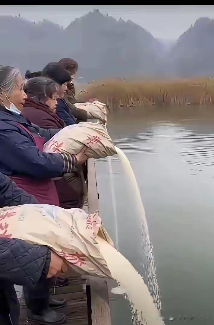 浪费粮食最可耻了！古人都懂得“谁知盘中餐，粒粒皆辛苦”。一群活了大半辈子的老太太