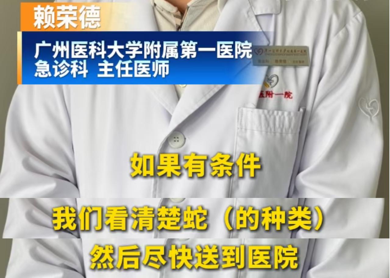 2026年7月初，广东接连发生两起竹叶青毒蛇伤人事件，两名六旬老人先后被咬