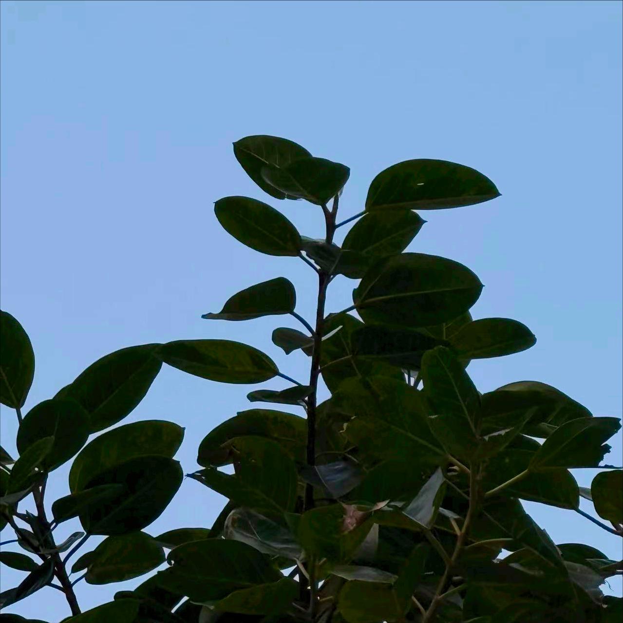 今晚  中央纪委：执纪审查1人 3月30日晚，该部门执纪审查1人，为今年6