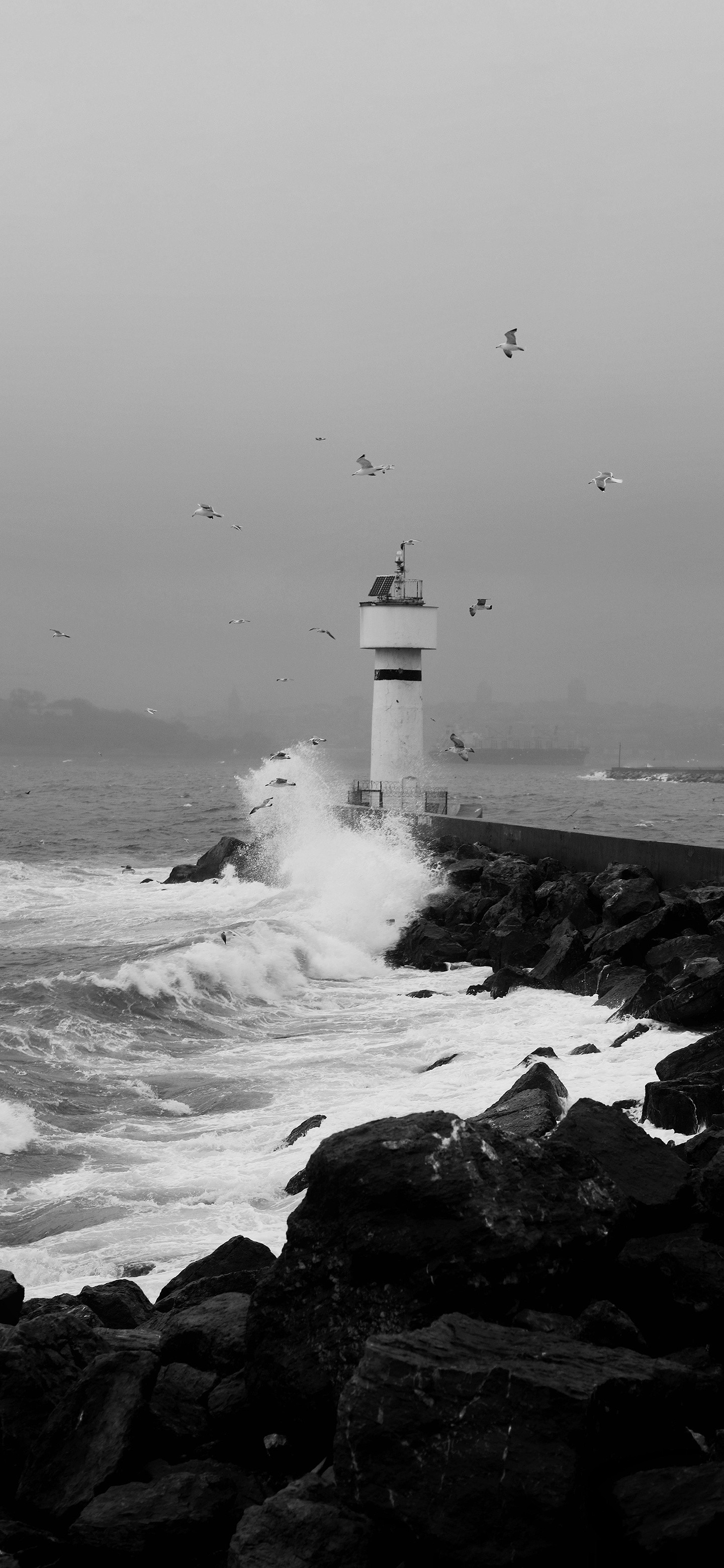 今日份景深壁纸有没有哪张壁纸是你用了很多年的？