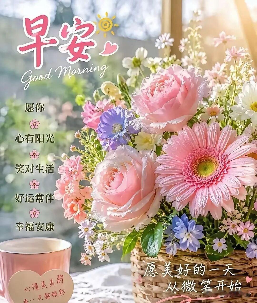 🍂²⁰²⁶/₀₉.₀₄ᵕ̈周五早安☕️秋光澄澈，晨风微凉，告别连日的奔