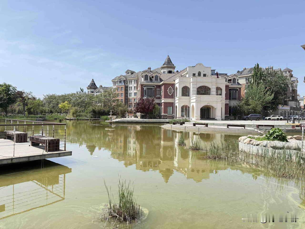 家门口的春日.漫步午后午后，漫步在寂静的街边。二月兰铺成浅紫的地毯，那朵月季