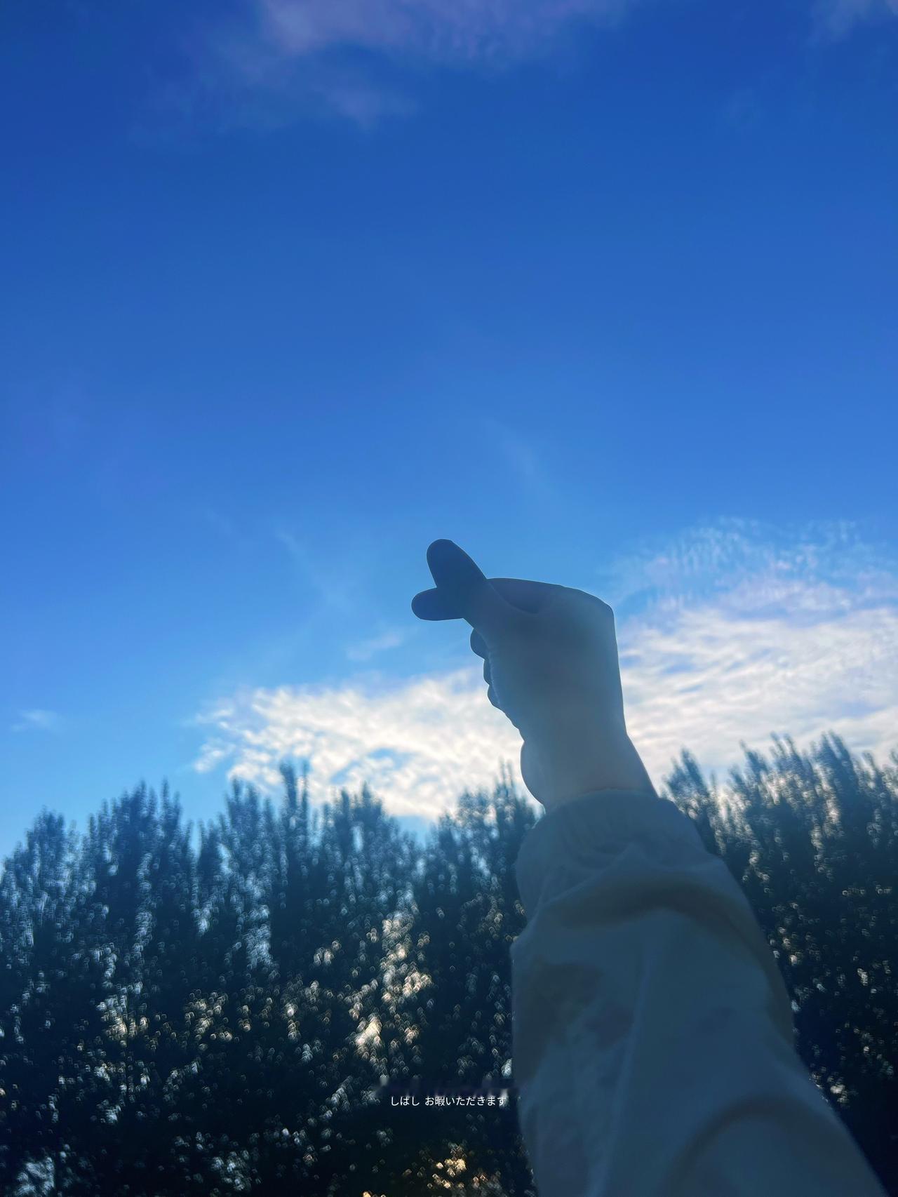 还是去健身吧，别去爱了……