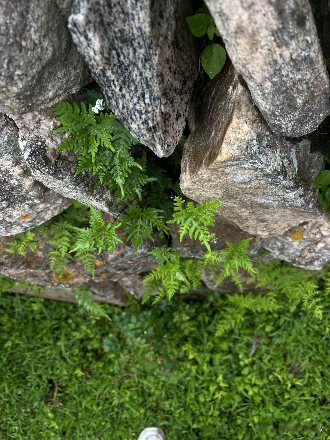 我见过一个事儿。老张生意垮了，欠一屁股债。过年想找堂哥借两万周转。堂哥电话里那个