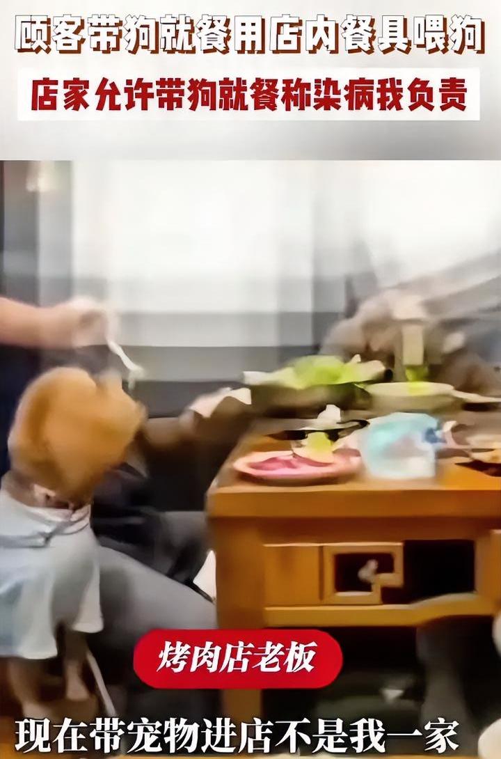 烤肉店老板力挺顾客带狗用餐，就喜欢这么硬气的老板，希望你能坚持住啊。今日马鞍山