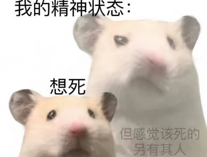 这几天脑子里充满了20年一路走来的种种，实在太难受了，找了朋友聊聊，没想到我朋友