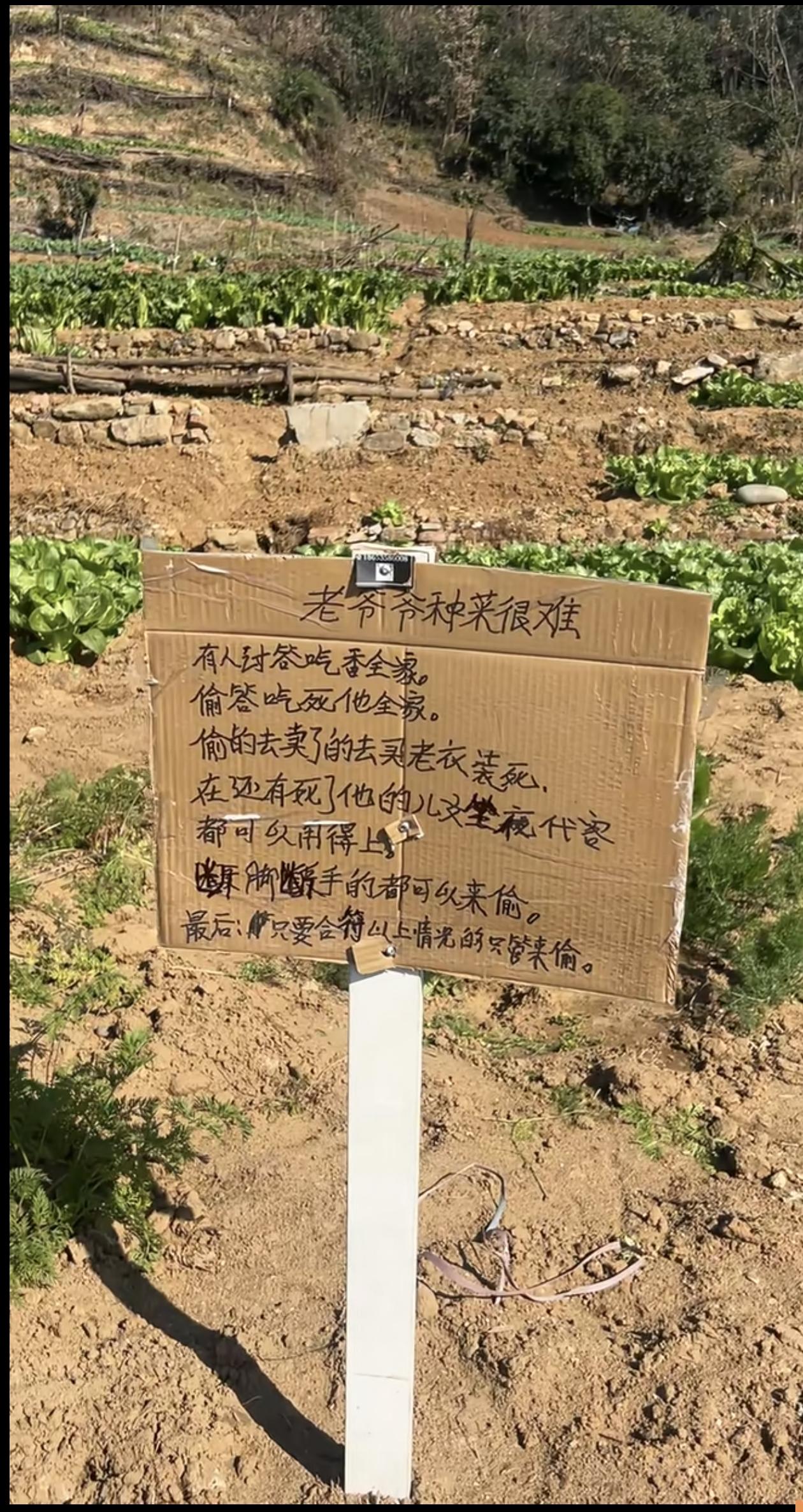 估计老爷爷实在是被逼急了吧？