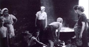 1945年，一个苏联士兵将几名日本女战俘挟持到深山老林。19年后，他竟狼狈地跑出