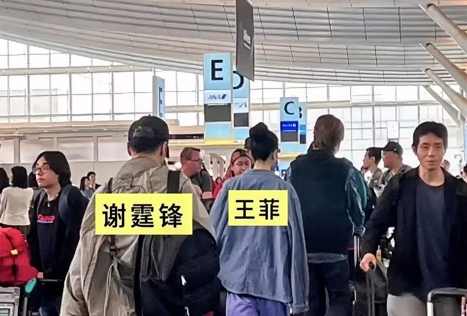 谢霆锋你睡了吗？反正我睡不着，看你和王菲在羽田机场的照片之后，我彻底失眠了！