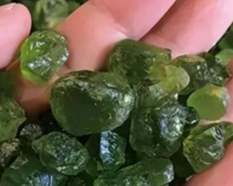 “你说上交就上交？”2002年天津一男子花了10年，捡了600多块蛟河橄榄石，专