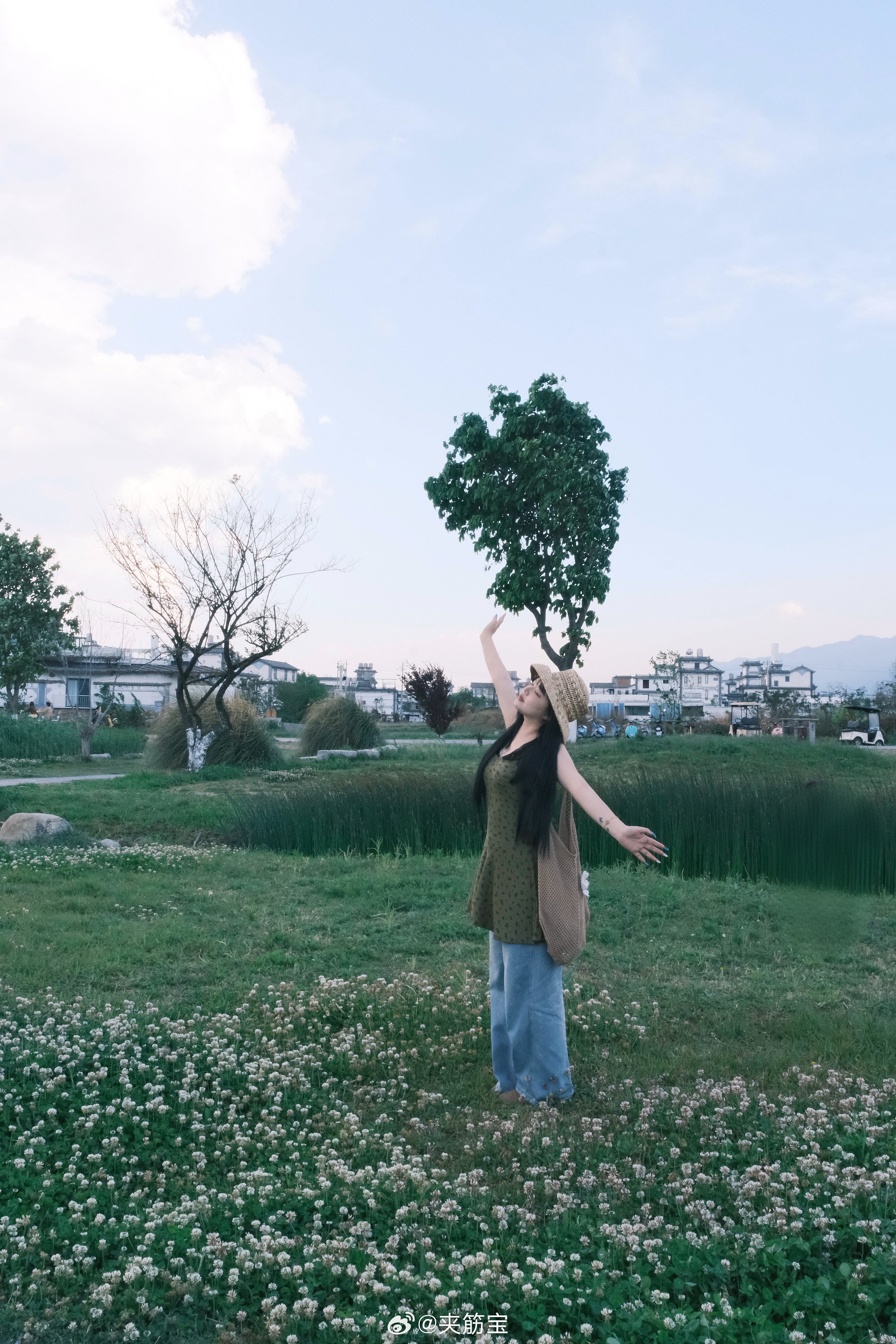 春天真好还好没有烂在冬天大理