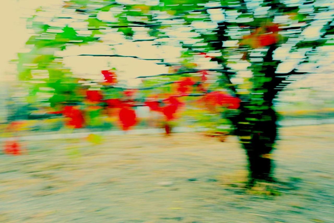 白桂林近期摄影照片欣赏都是喀左县秋天的美景。白桂林从19岁开始喜欢摄影，由于受