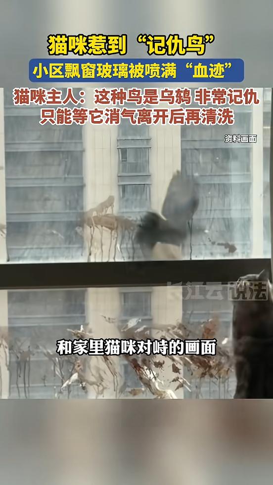 “哭笑不得”！近日，浙江宁波，一女子在家时，发现玻璃上出现一道道酷似血迹的痕迹，