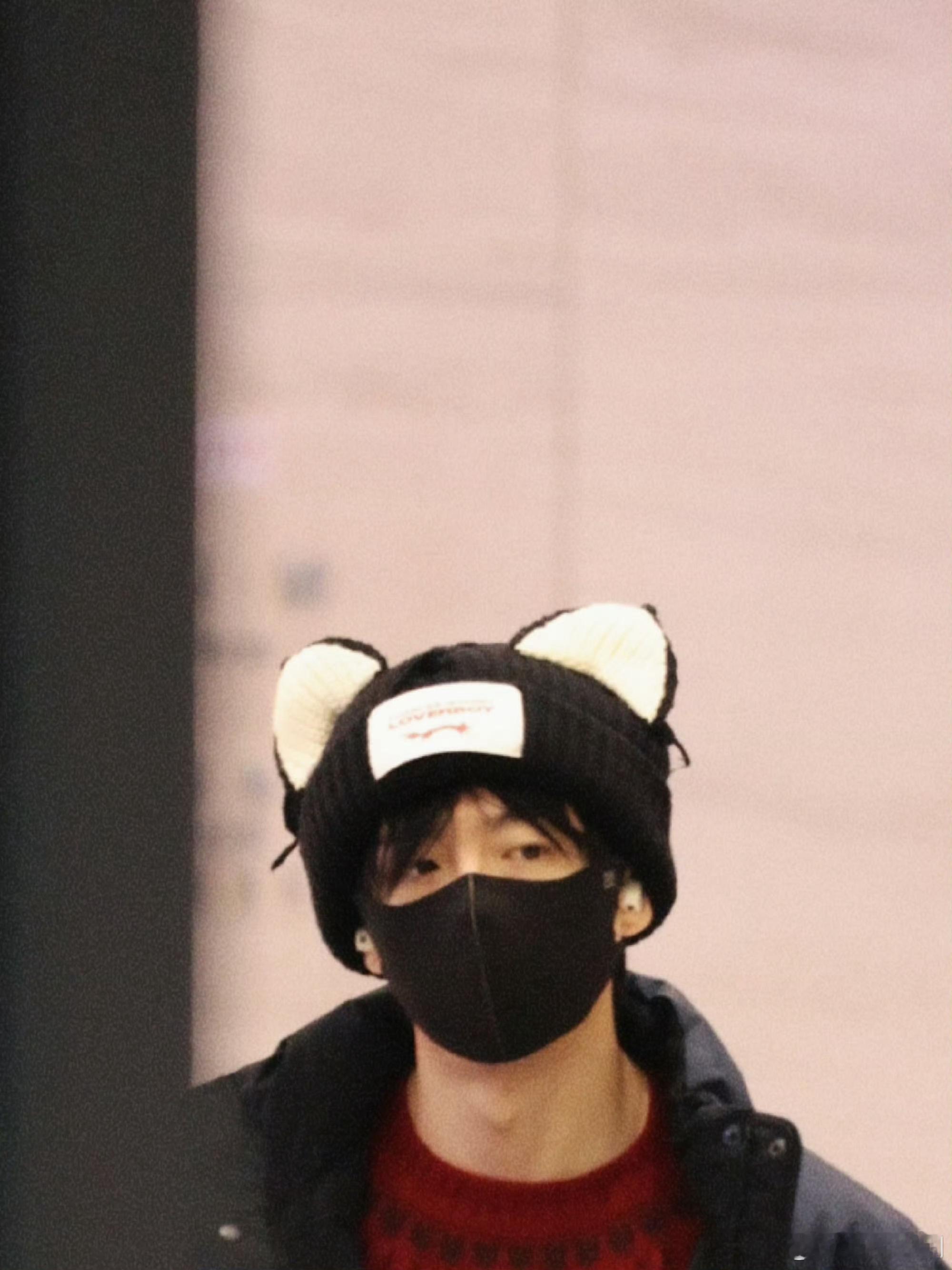 啊第一次看到这么萌可爱的刘宇宁，铁汉柔情啊，一只小花猫出现