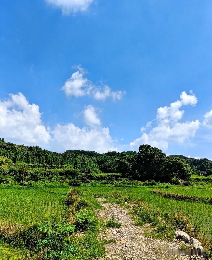说真的，现在当父母的，最该学的不是怎么逼孩子优秀，而是怎么放下“我为你好”的执念