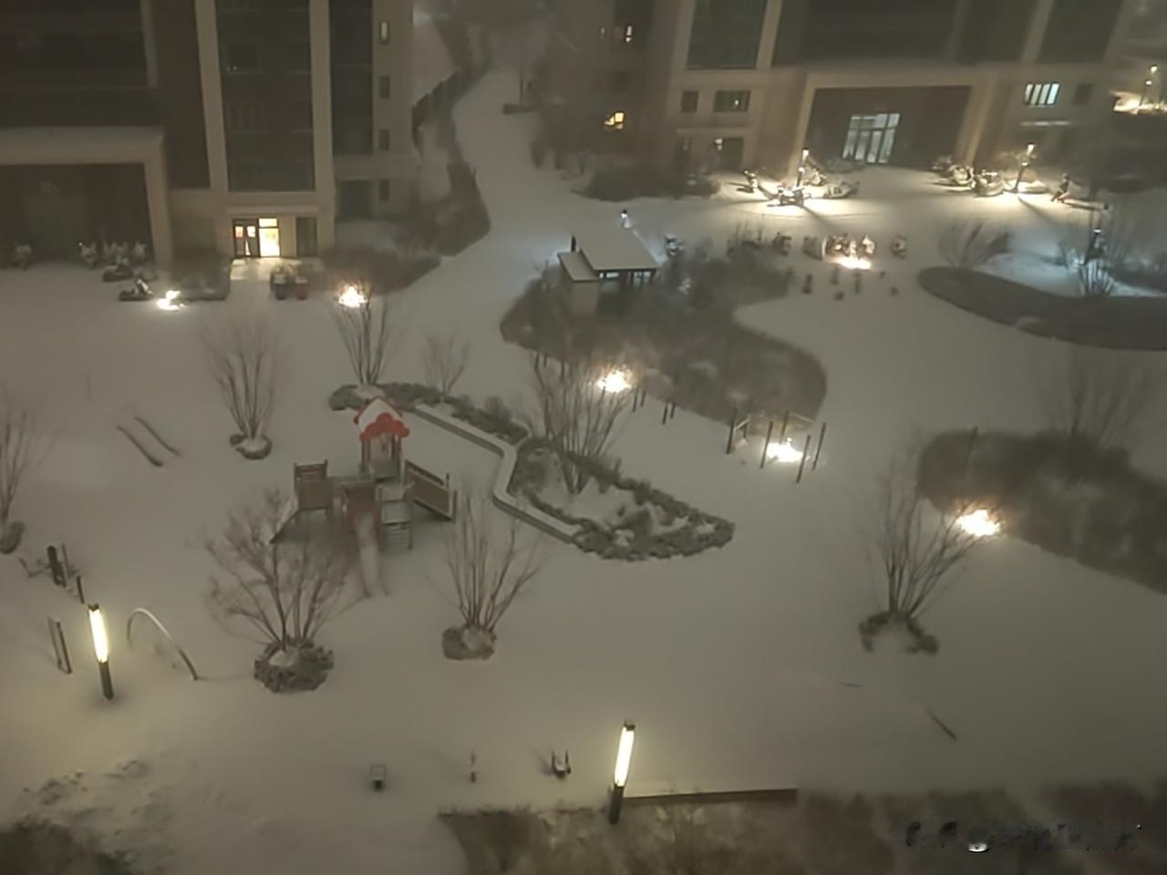 沈阳一夜白头！这场大雪把小区变成了雪国童话沈阳的雪从昨夜开始洋洋洒洒，清晨