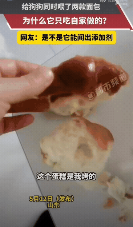 这也太神奇了！山东一位女子，在蛋糕店买了面包，自己休班没事也在家烤了些。闲着无聊