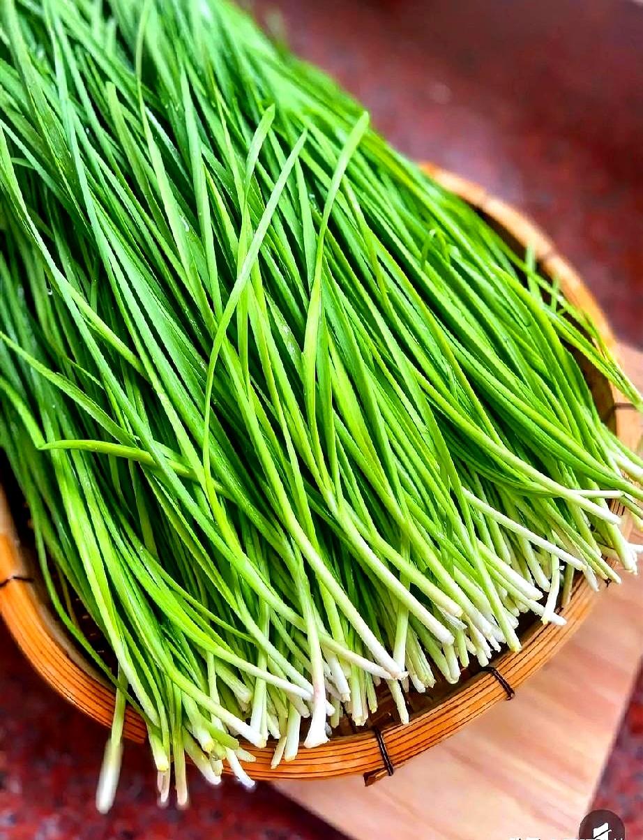 今年春节最让人肉疼的，不是肉，竟然是它！你敢信吗，上午菜市场还卖十块钱一斤的韭