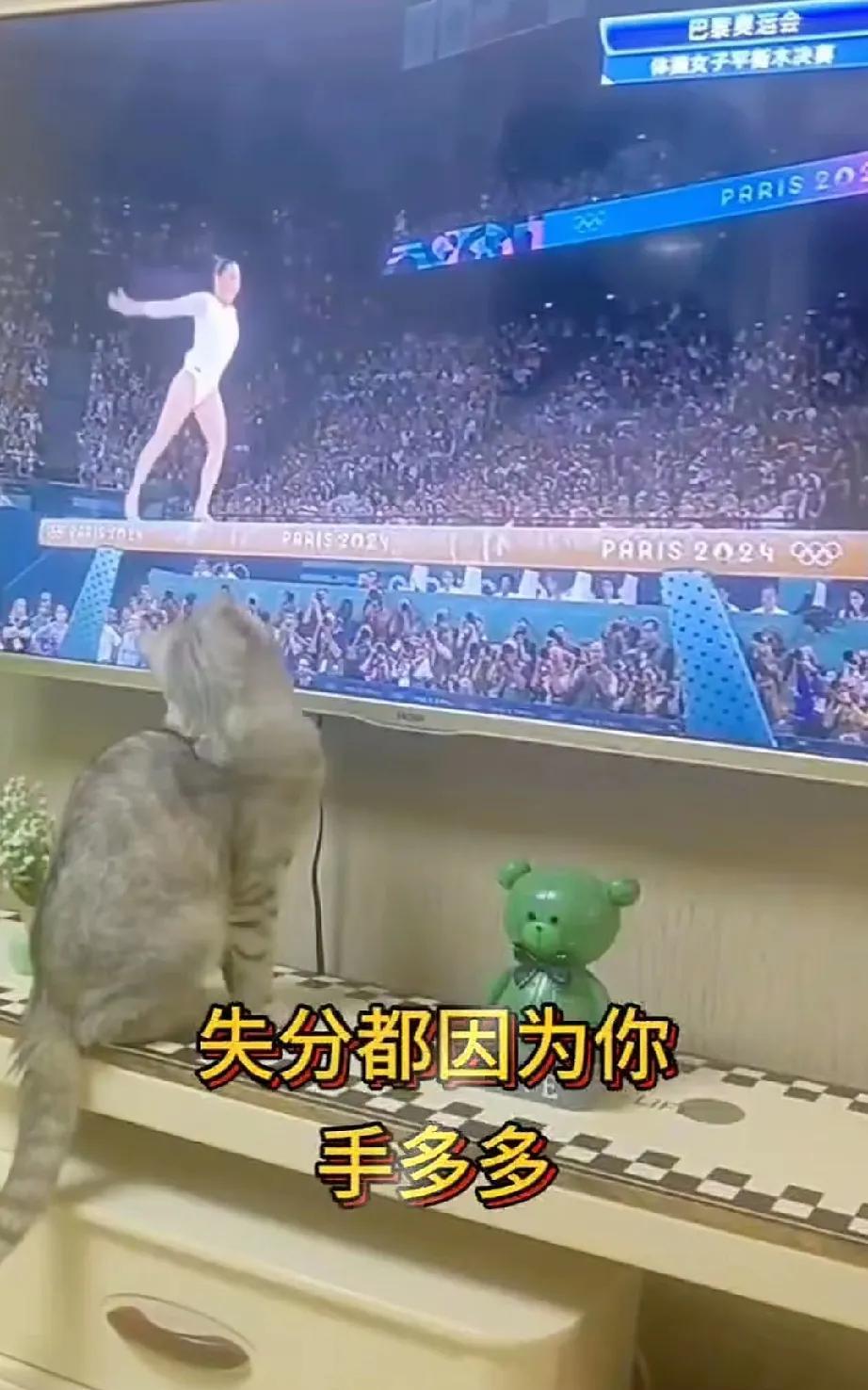 都怪你，都怪你。人家体操表演正跳得好好的呢，你却非得扑上去，东抓一把西抓一把的，