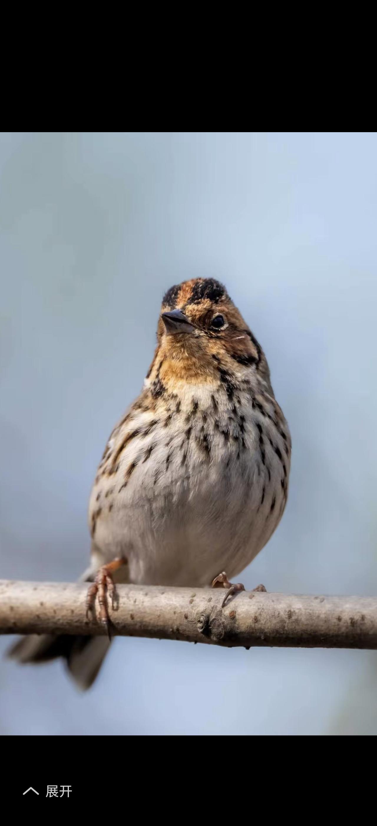 生活就像一场充满未知的旅行，事事无常，谁也不知道下一秒会发生什么。但正是这些不确