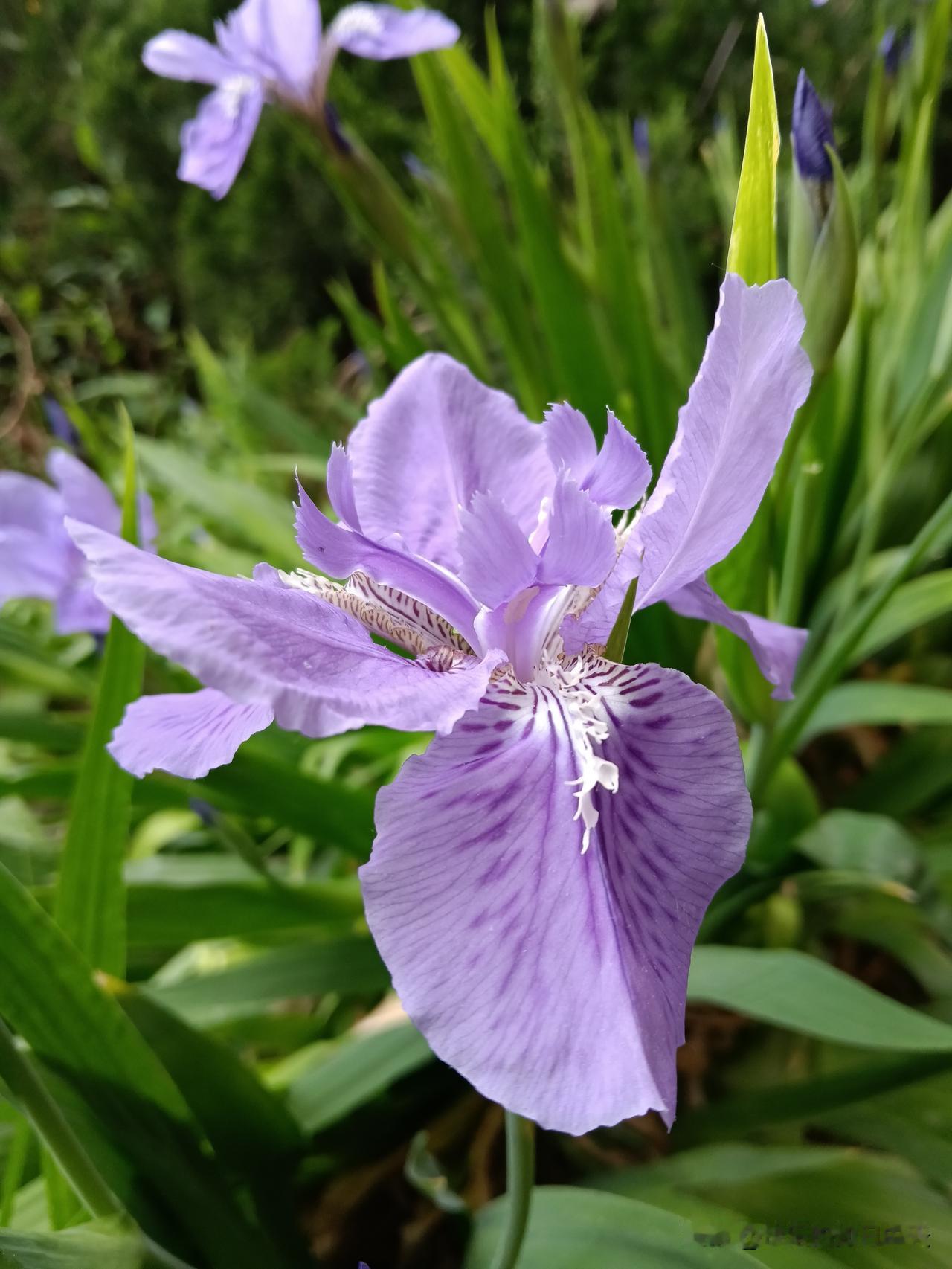 什么样的老人最招人喜欢，你中了几条？手里有钱，有存款不手心朝上、不事事指望儿