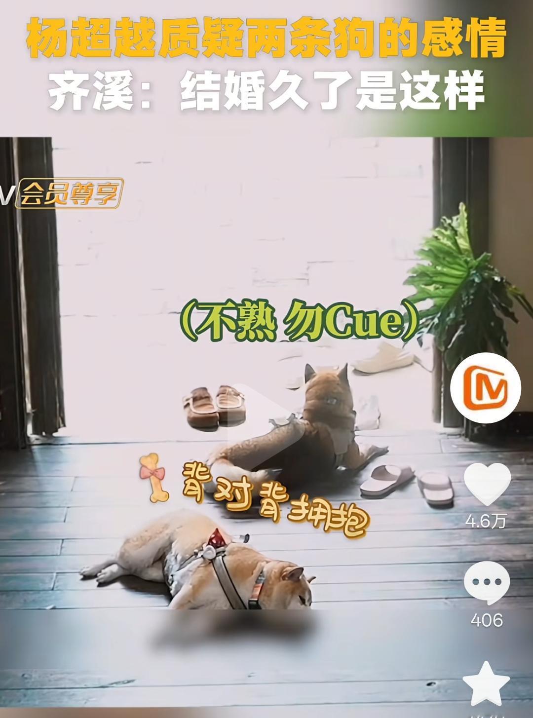 《向往的生活》中，没想到这两小家伙都有孩子了。而且还是四个！杨超越这个时候来