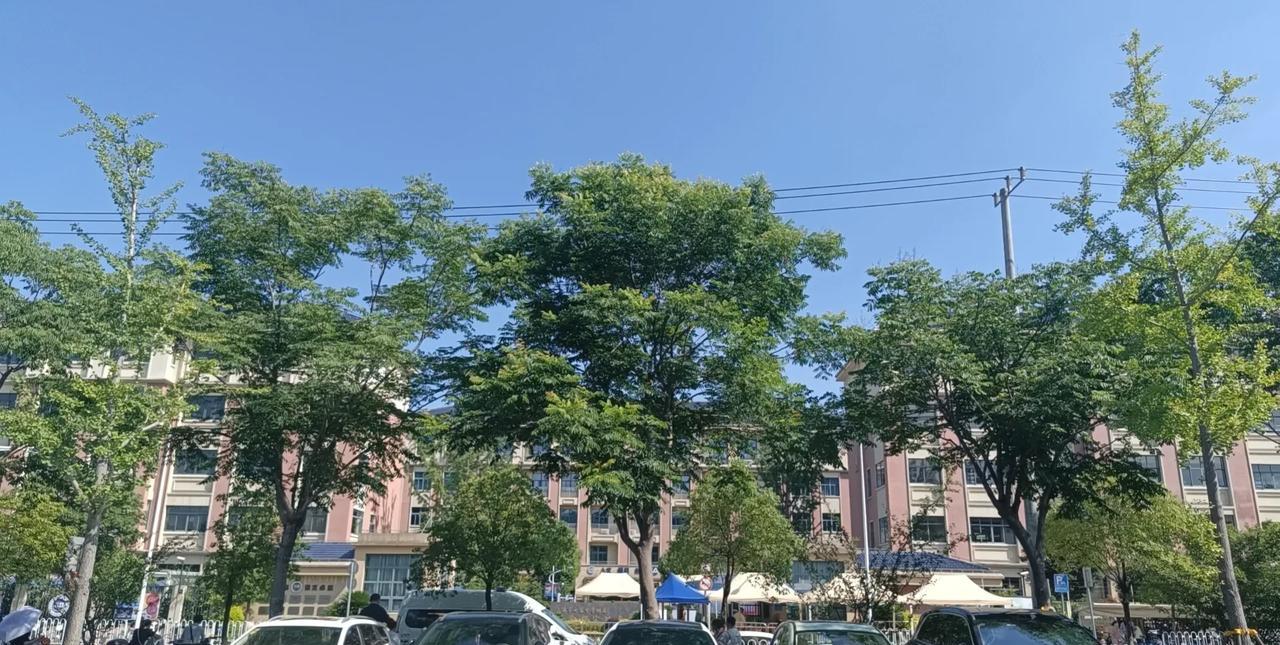 一般男人在无聊的时候会干啥？比如等娃考试结束，中间两个小时，男人一般干啥子（没