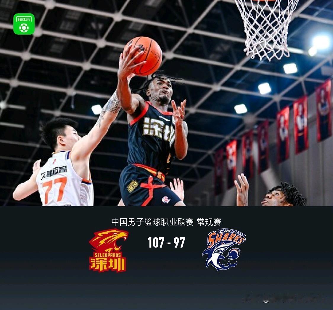 CBA🏀，深圳107-97终结上海9连胜，杨毅老师犀利点评比赛，句句在理！1