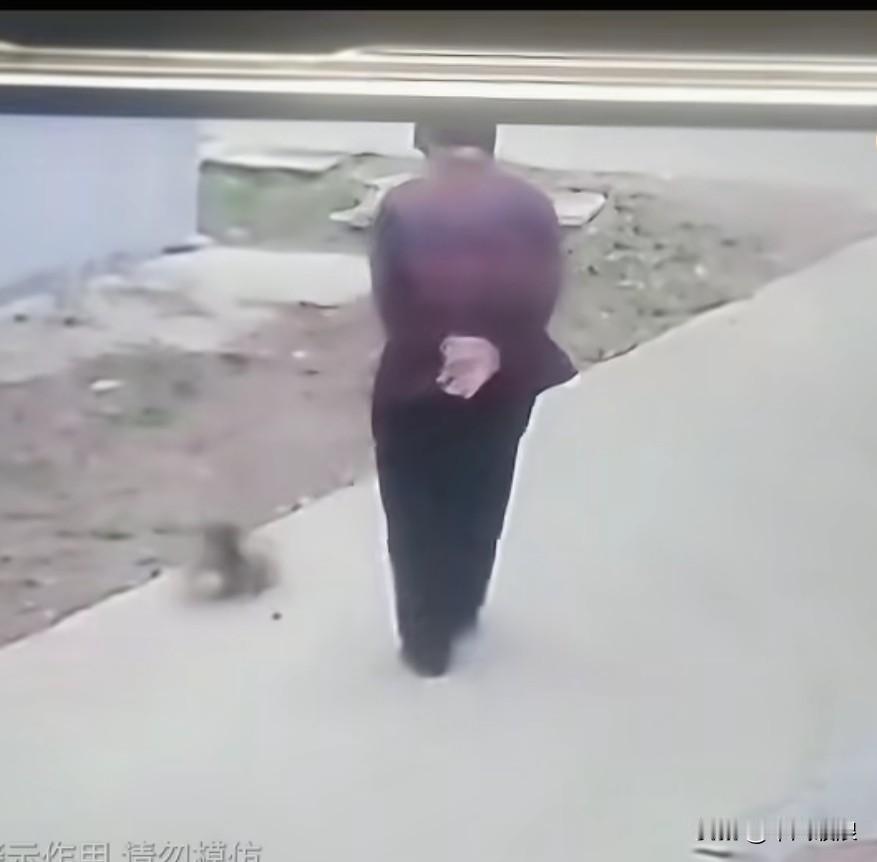 一位老爷爷路过时，看到一只小狗睡在路边，便抬腿去踢它。怎奈力不从心，单腿站立不稳