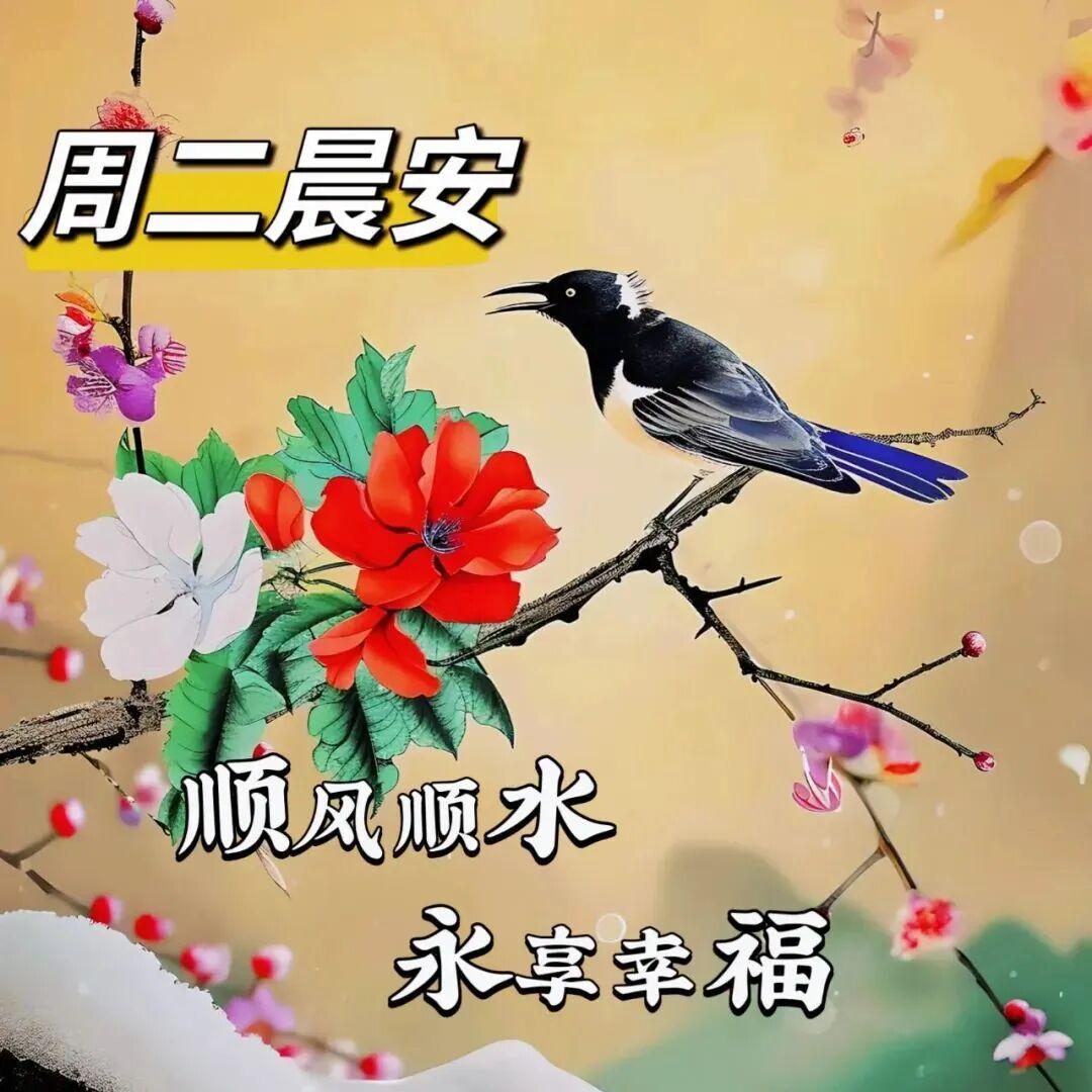 你开心我就快乐，你幸福我就满足！每天清晨，都有美好的祝愿：一句问候，胜似相见；相