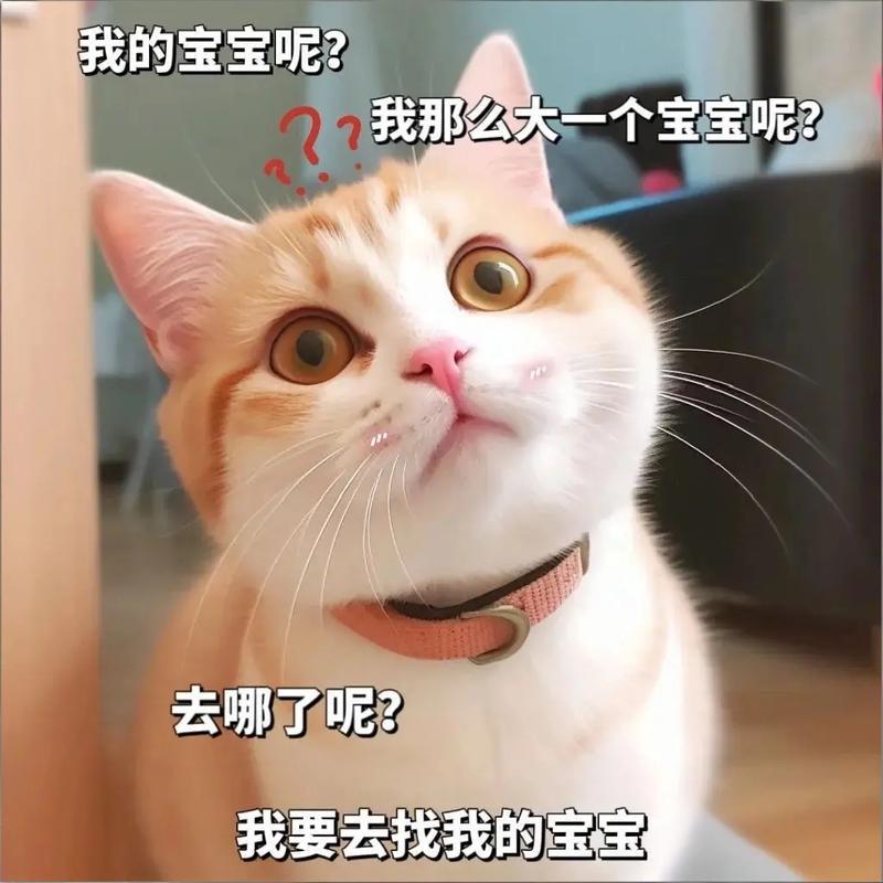 唐朝中前期，突厥是北方的主要外患。他们与唐朝大致以河套为界，河套以北是突厥。