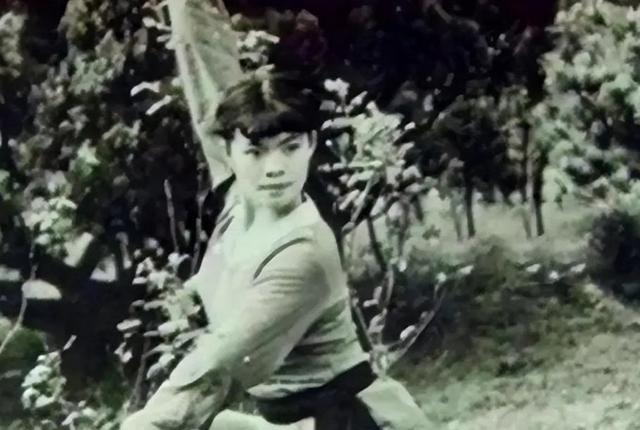 1968年，82岁的武僧宋九庵一时好心，收留了一名奄奄一息的女孩，并将一身功夫悉