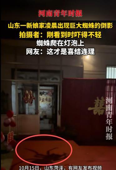 10月15日，山东菏泽，一新娘家凌晨3点竟然出现巨大的蜘蛛倒影，还在不停地爬动，