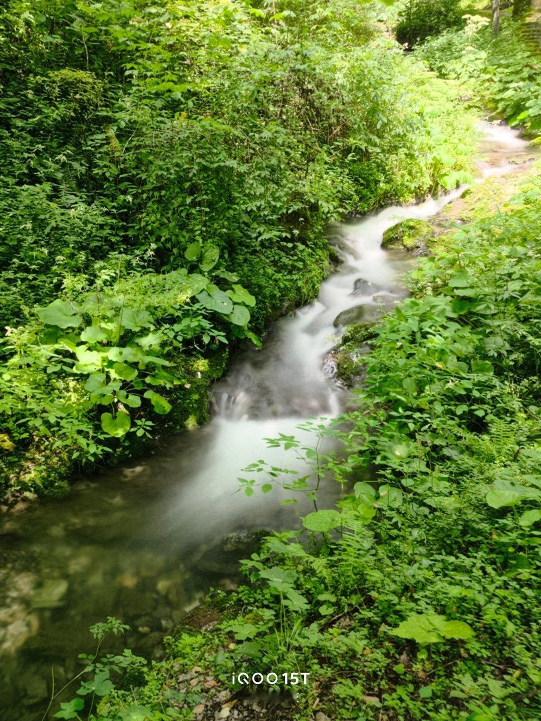 漫步神农架画廊谷🌿峡谷青山、飞瀑流泉，满眼都是治愈的绿意。全部#iqoo15t#iQOO15T直出