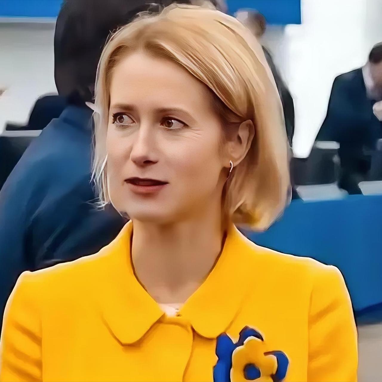 真是不敢相信！欧盟那位美女外长卡拉斯，竟然开怼美国，而且还挺狠近日，卡拉斯在