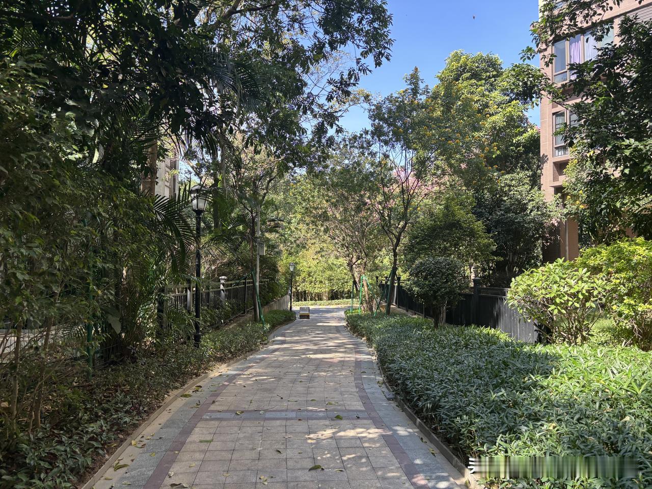 今天看有人聊起把老公工资掌握在手里的话题，忽然想起二十多年前，单位就有一个男同事