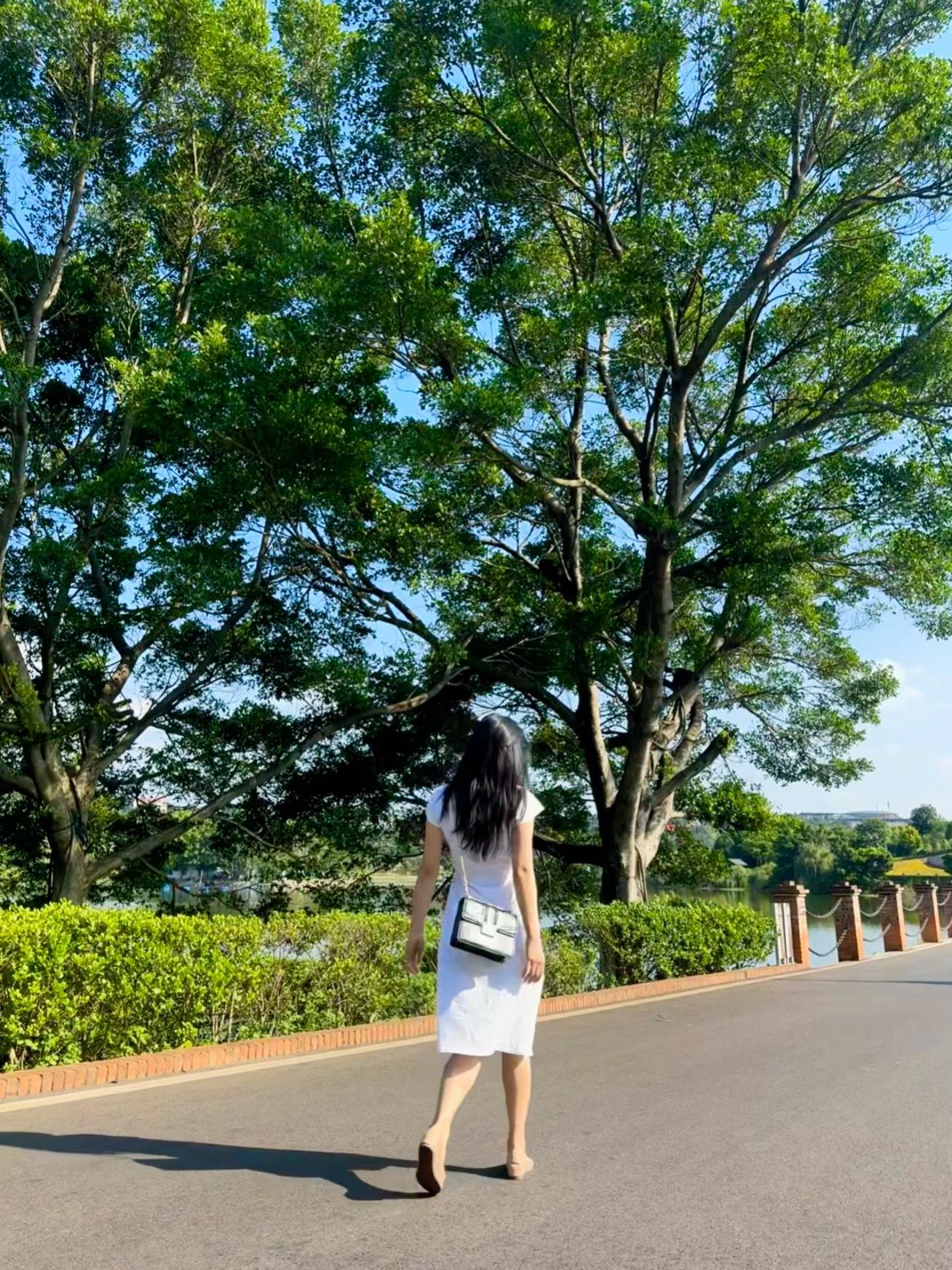 阳光让平淡的生活更鲜活啦～要一起晒晒太阳吗～☀️☀️
